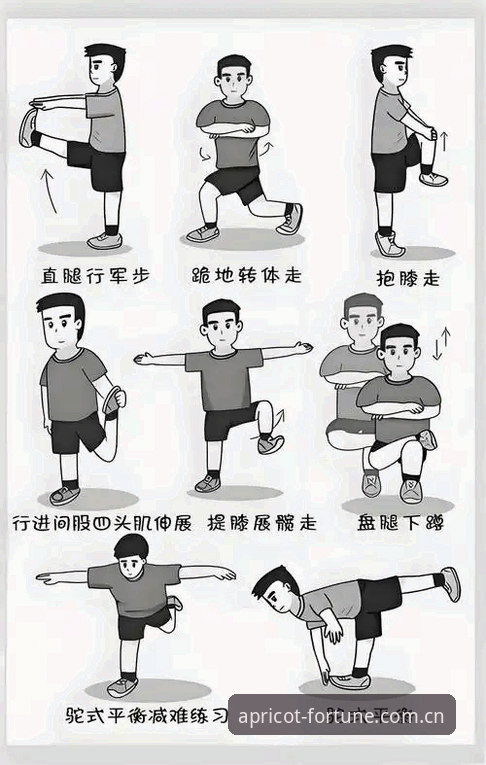 杏运体育官方网站常见问题详解与新手操作指南