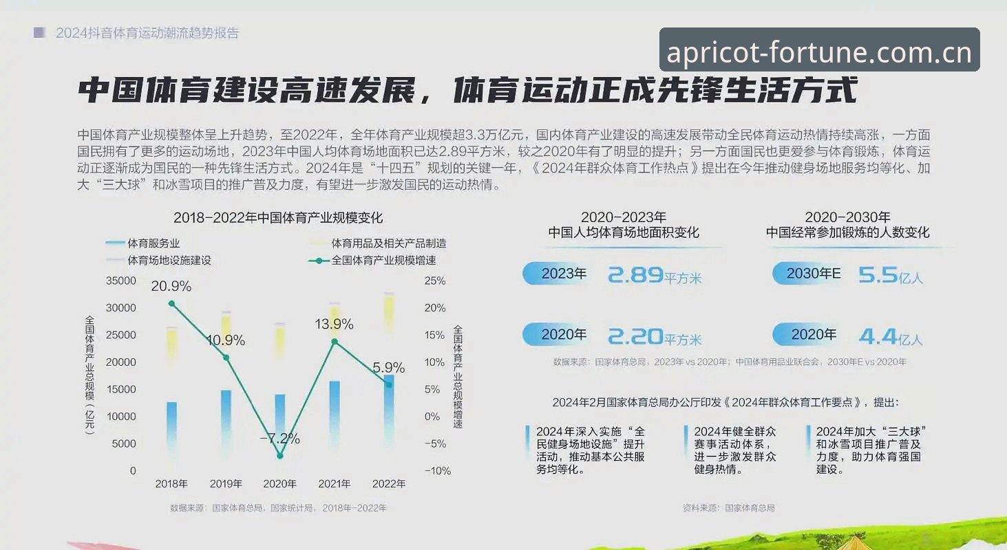 杏运体育竞猜对比深度分析：从技术架构到用户体验的全方位评测